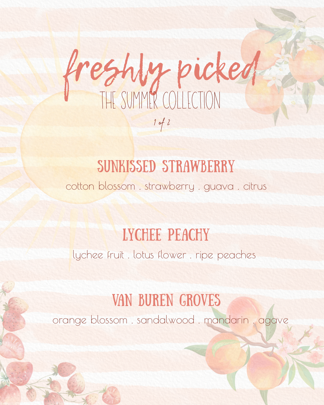 FRESHLY PICKED - The Summer Collection | organic coconut soy wax candles